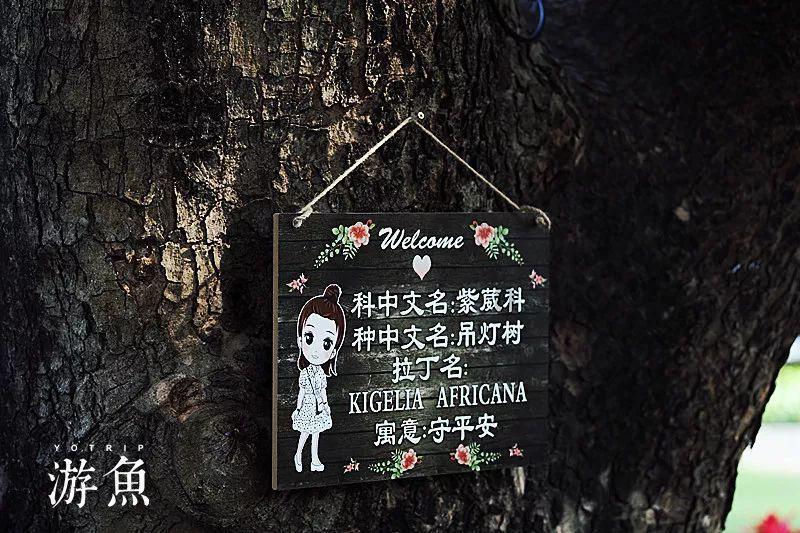 家门口的健康管家,让居民有“医”靠