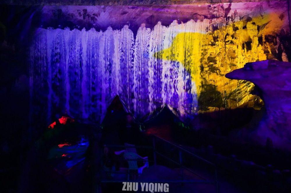 新华全媒+|“中国最美小鸟”在厦门筑巢安家